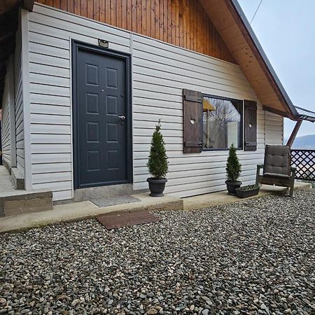 Chalet Dor De Munte 普雷代亚尔 外观 照片