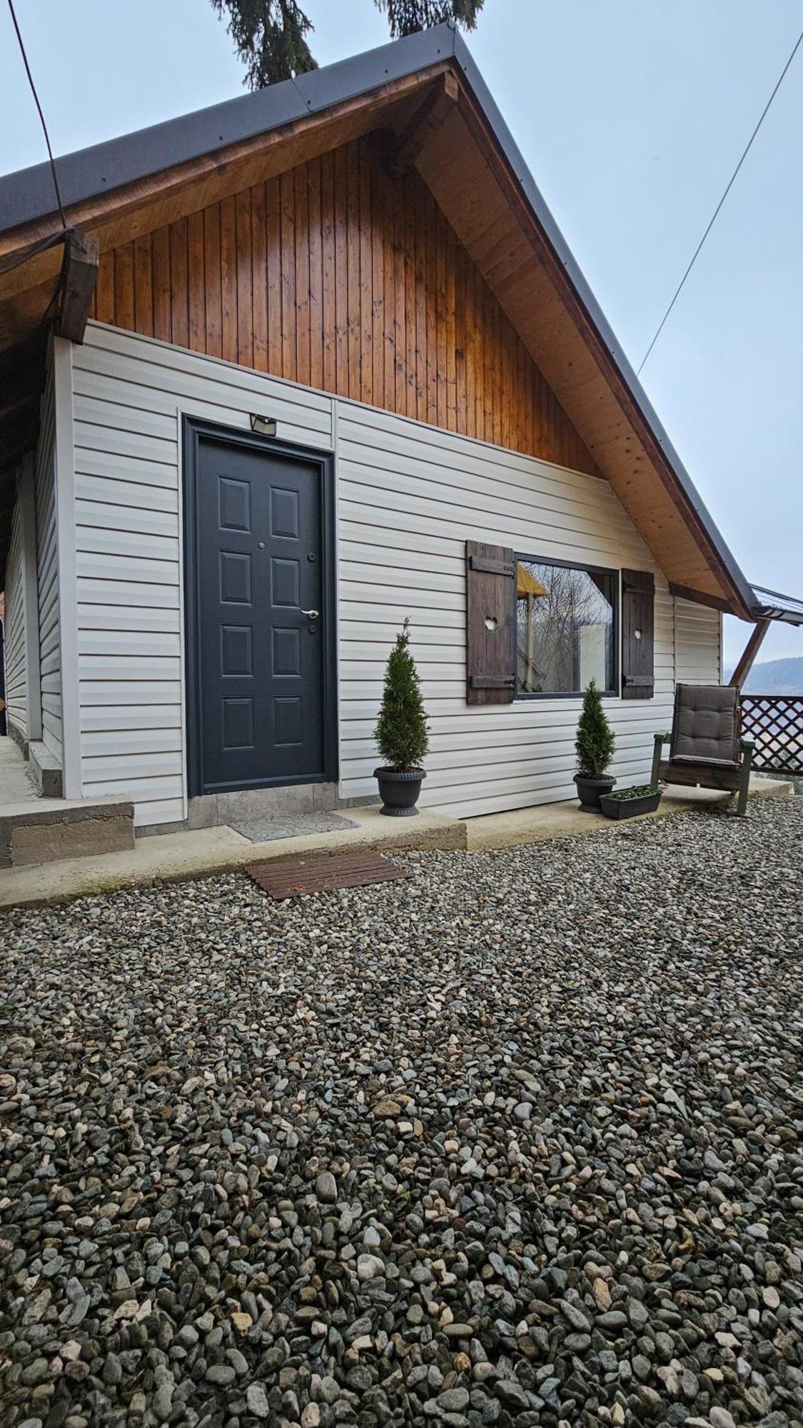 Chalet Dor De Munte 普雷代亚尔 外观 照片