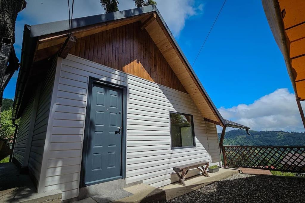 Chalet Dor De Munte 普雷代亚尔 外观 照片