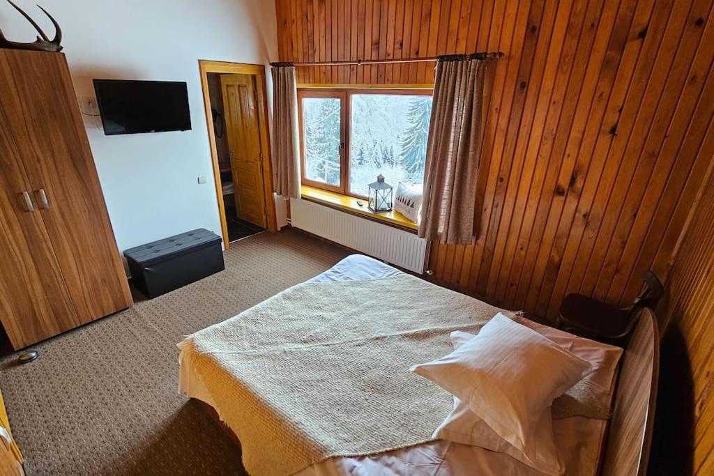 Chalet Dor De Munte 普雷代亚尔 外观 照片